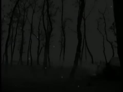 UNHCR commercial “Comparisons”, directed by Thomas Richter